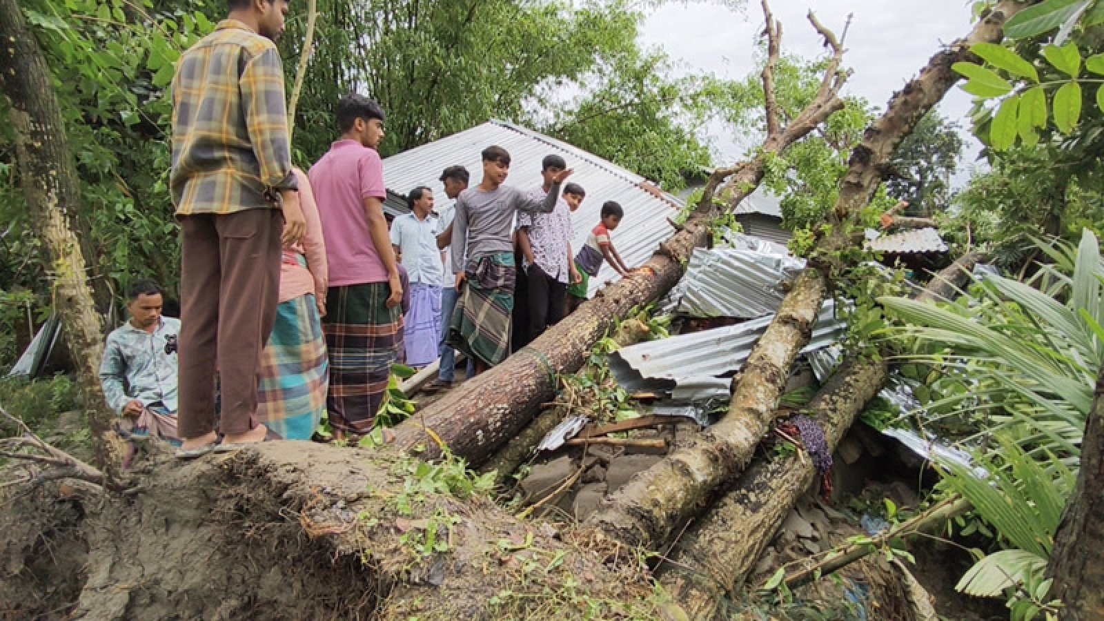 ঝড়ে ঘরের ওপর গাছ পড়ে মা ও দুই মেয়ে নিহত