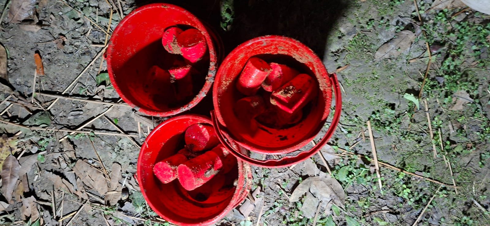 চাঁপাইনবাবগঞ্জে  ১৭টি ককটেল উদ্ধার