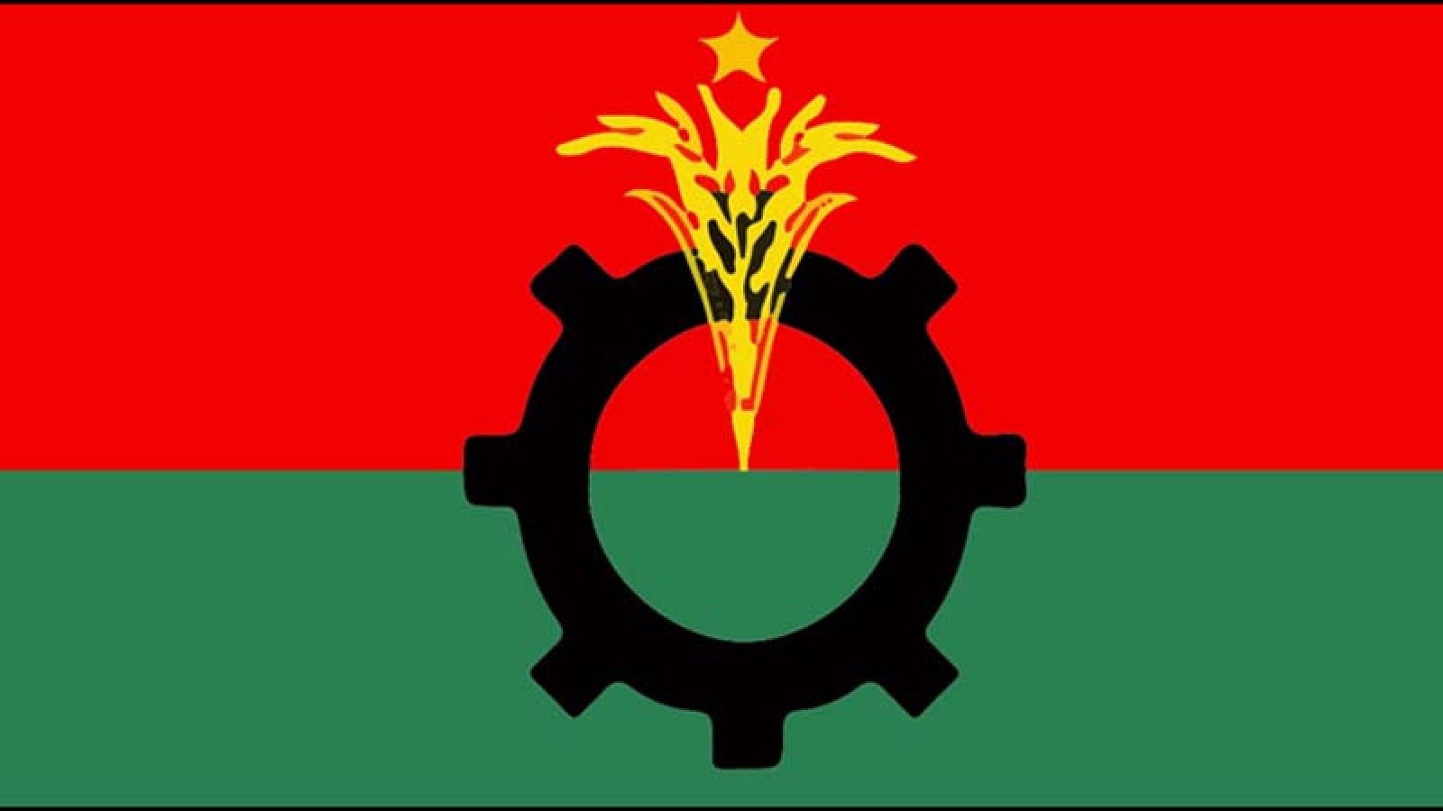 ঈশ্বরদীর ৭ ইউনিয়ন বিএনপির সব কমিটি বিলুপ্ত