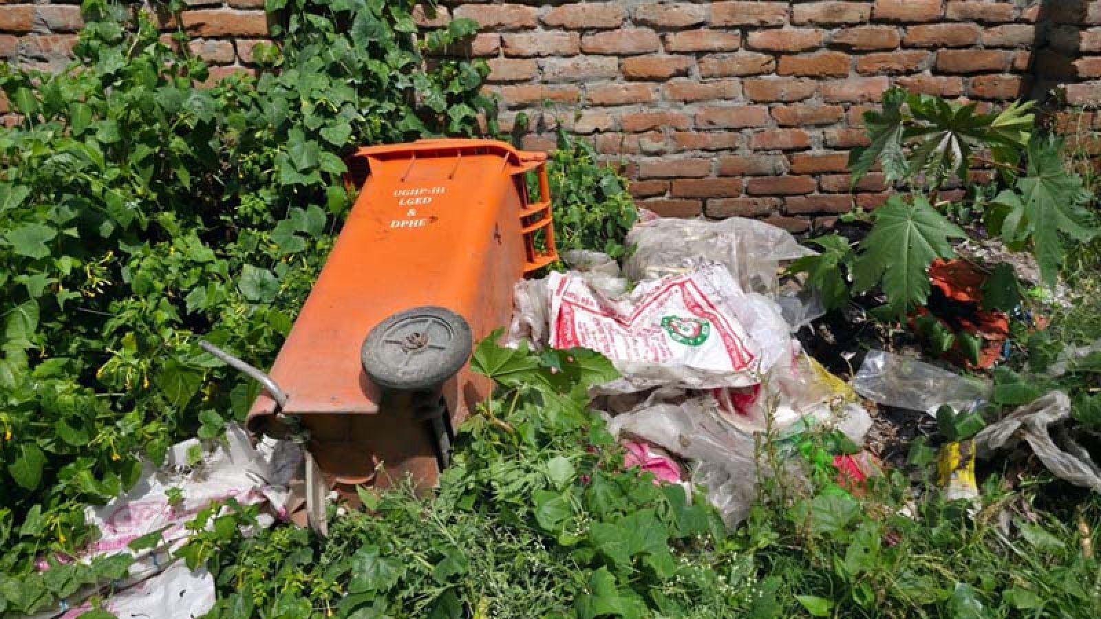 চারঘাটে পৌরসভার ১ হাজার ৬৬৮টি ডাস্টবিনের হদিস নেই
