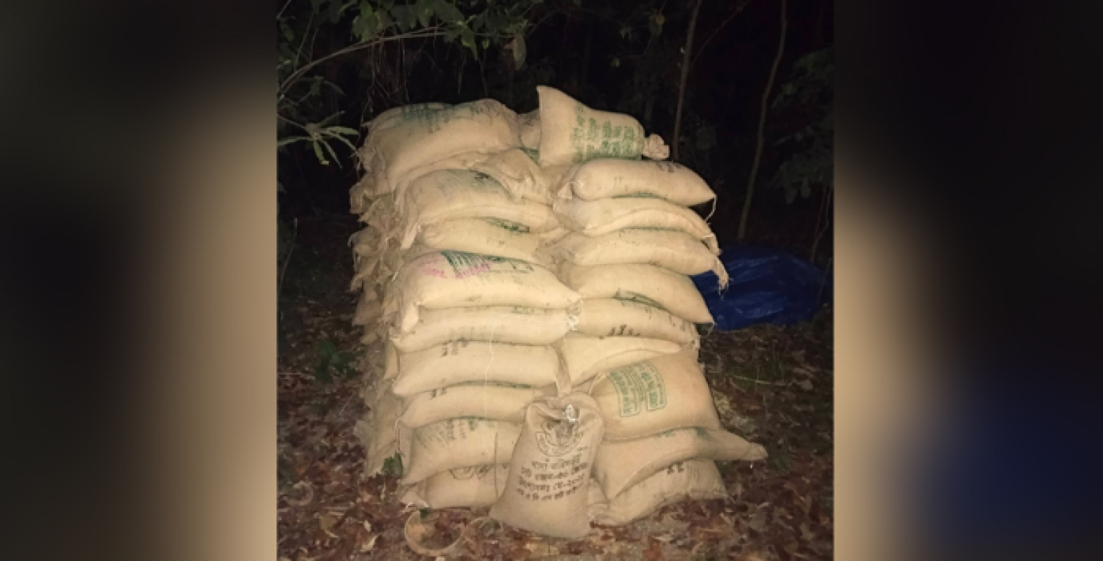 সিরাজগঞ্জে জঙ্গল থেকে ৯৫ বস্তা খাদ্যবান্ধব কর্মসূচির চাল উদ্ধার