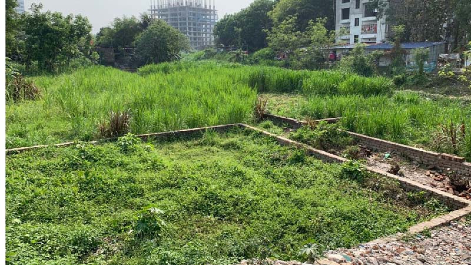 নগরীতে জমি দখলের চেষ্টার অভিযোগ কৃষকদল নেতার বিরুদ্ধে