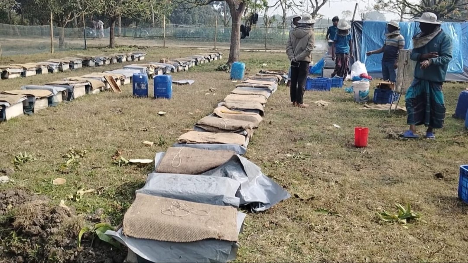 লক্ষ্যমাত্রার চেয়ে বেশী মধু উৎপাদন হচ্ছে শিবগঞ্জে