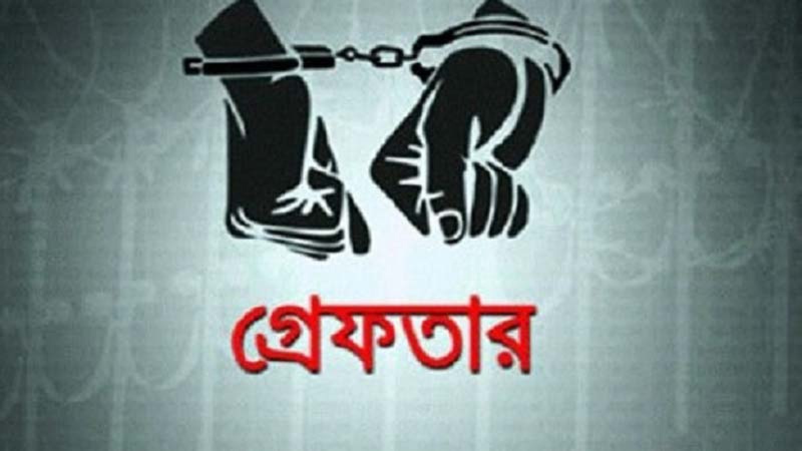 নগরীতে বিভিন্ন অপরাধের অভিযোগে গ্রেপ্তার ২০ জন