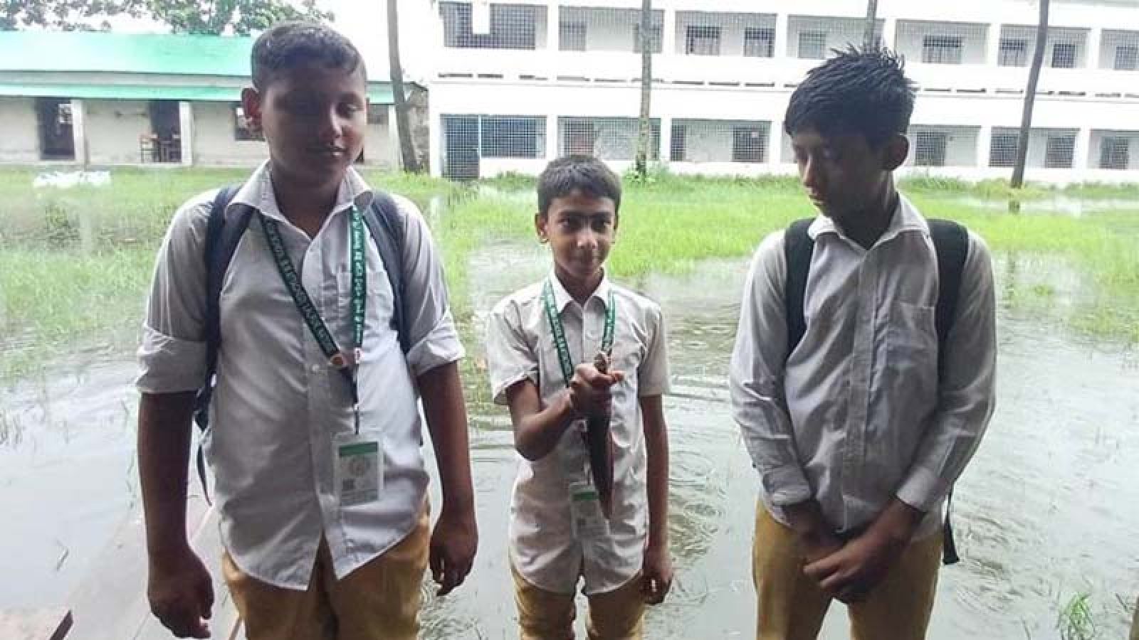 নাটোরে শ্রেণিকক্ষে হাঁটু পানি, মাছ ধরায় মাতল শিক্ষার্থীরা