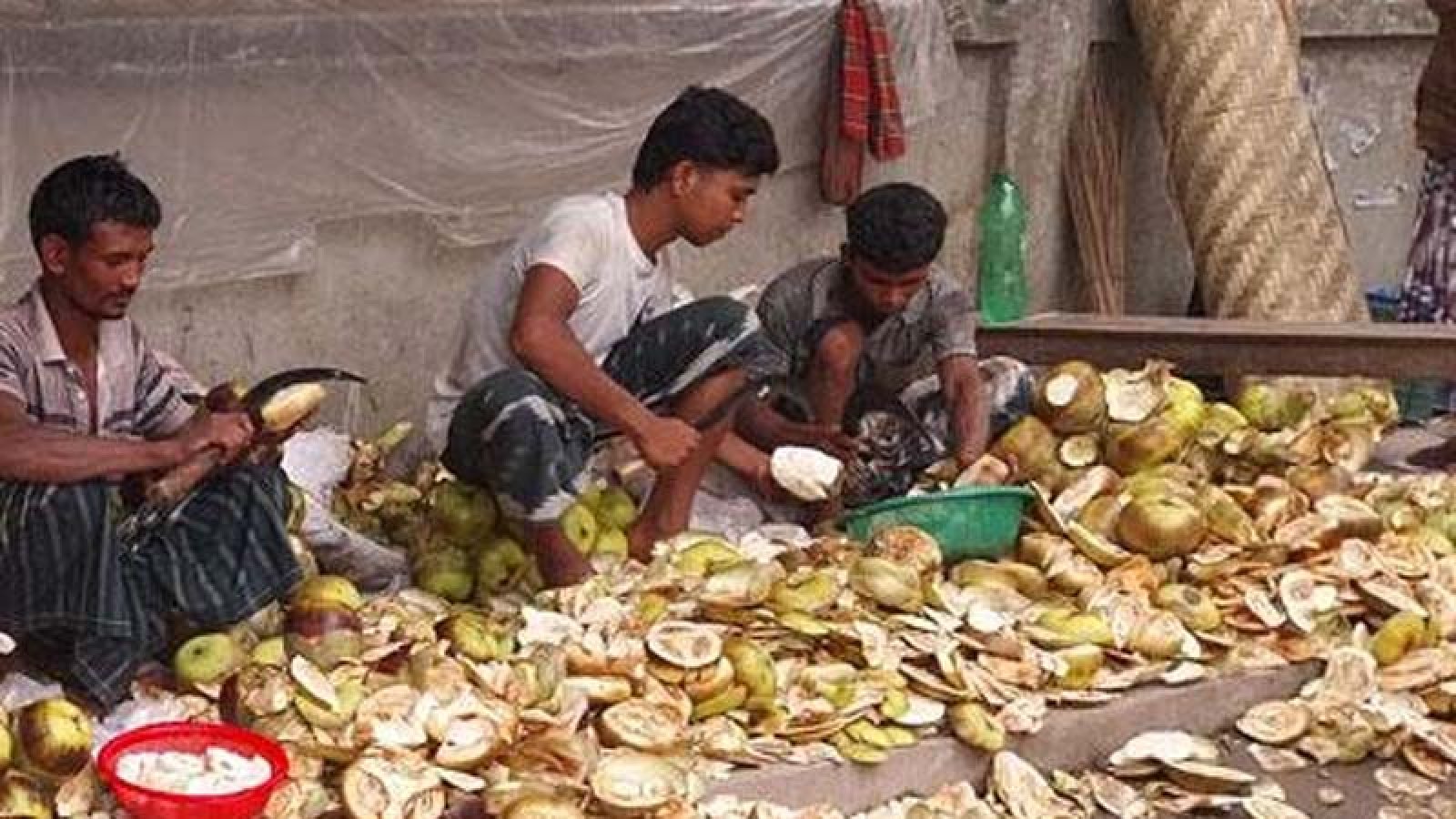 চাঁপাইনবাবগঞ্জে তীব্র গরমে তালশাঁসের চাহিদা বৃদ্ধি, ব্যস্ত বিক্রেতারা