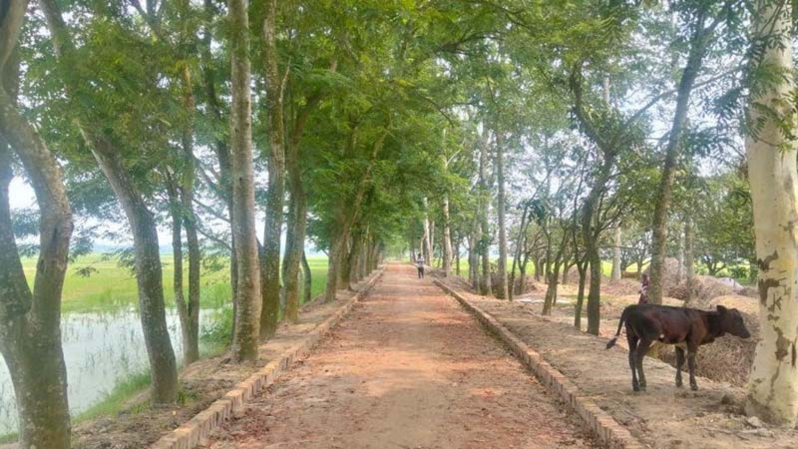 মোহনপুরে ২৫ কোটি টাকার উন্নয়নে বদলে যাবে গ্রামীণ যোগাযোগ