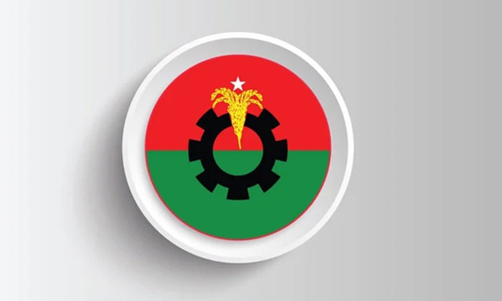পোরশায় বিএনপির নির্বাচন পরিচালনা কমিটি গঠন