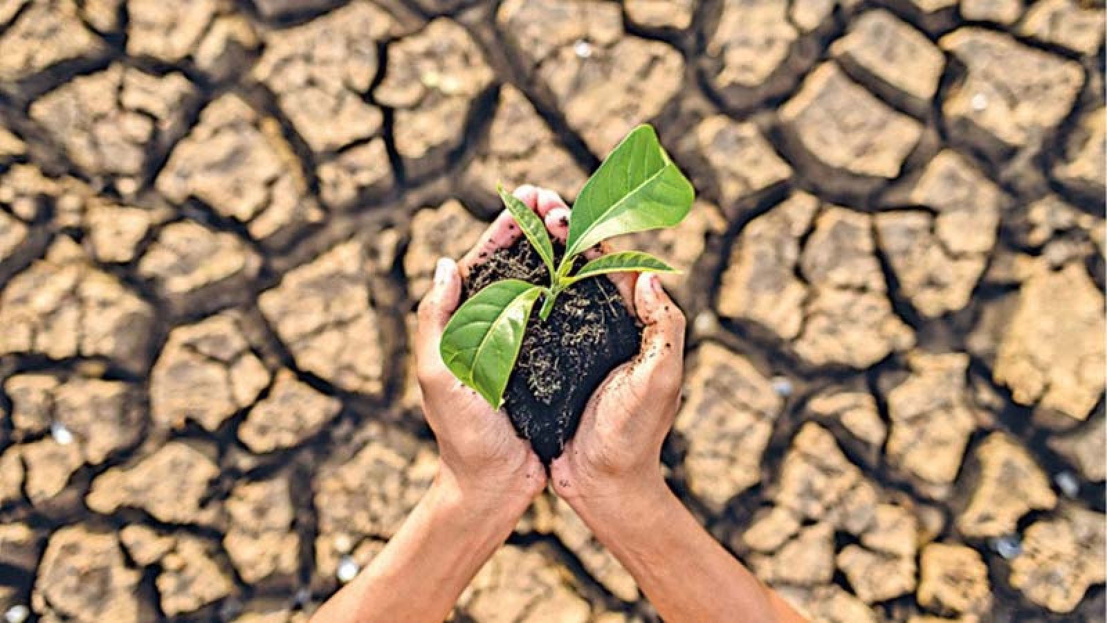 যুক্তরাষ্ট্রের বিরোধিতা সত্ত্বেও জাতিসংঘে জলবায়ু প্রস্তাব পাস