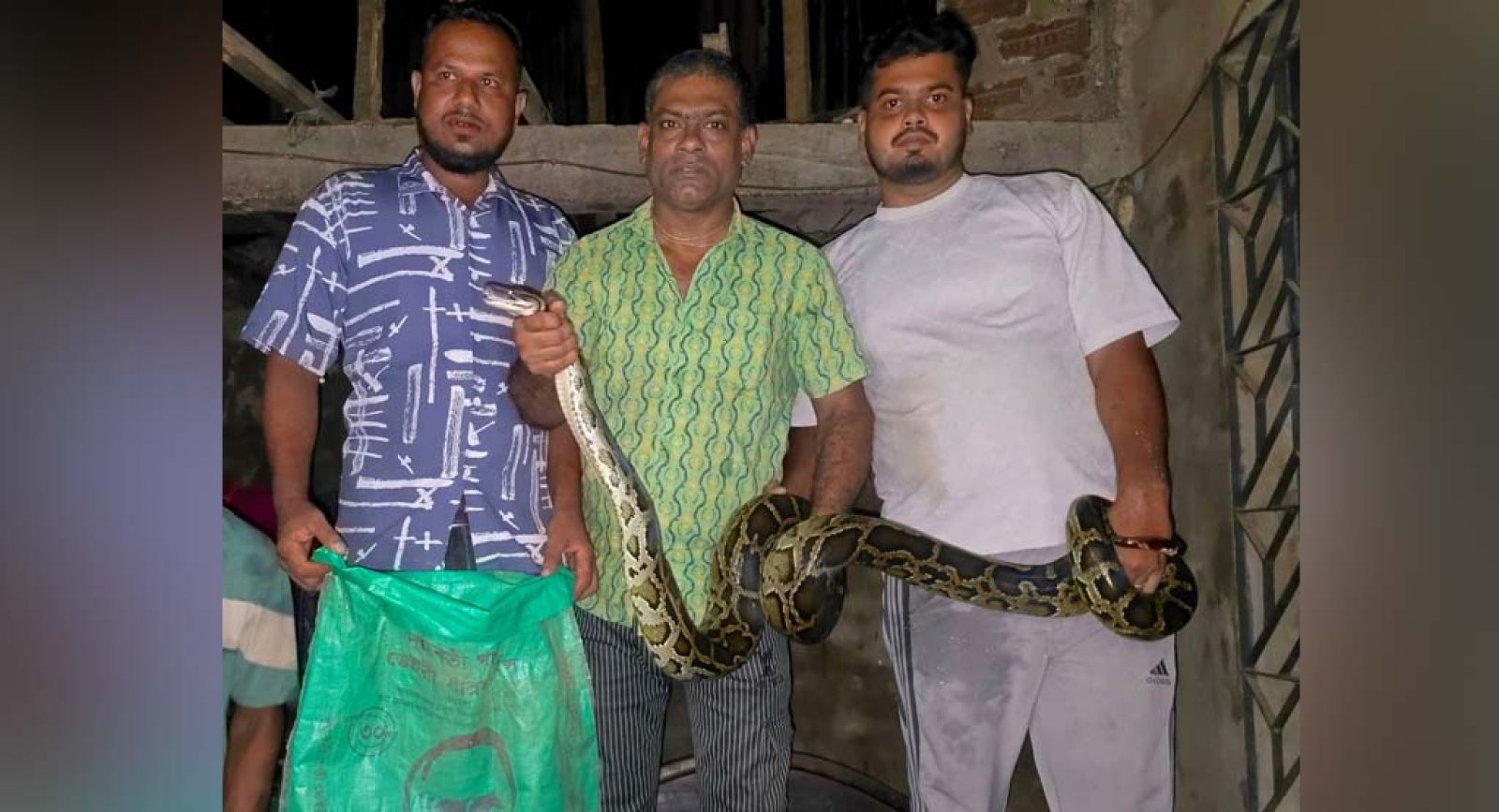 ঘুমাতে গিয়ে সিলিংয়ে দেখেন ১২ ফুটের অজগর, পরে উদ্ধার