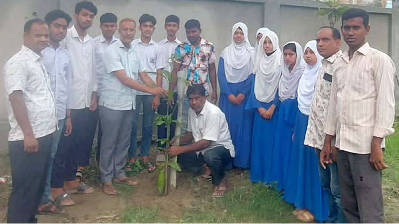 বিশ্বকাপ ফুটবল স্মরণে বৃক্ষরোপণ