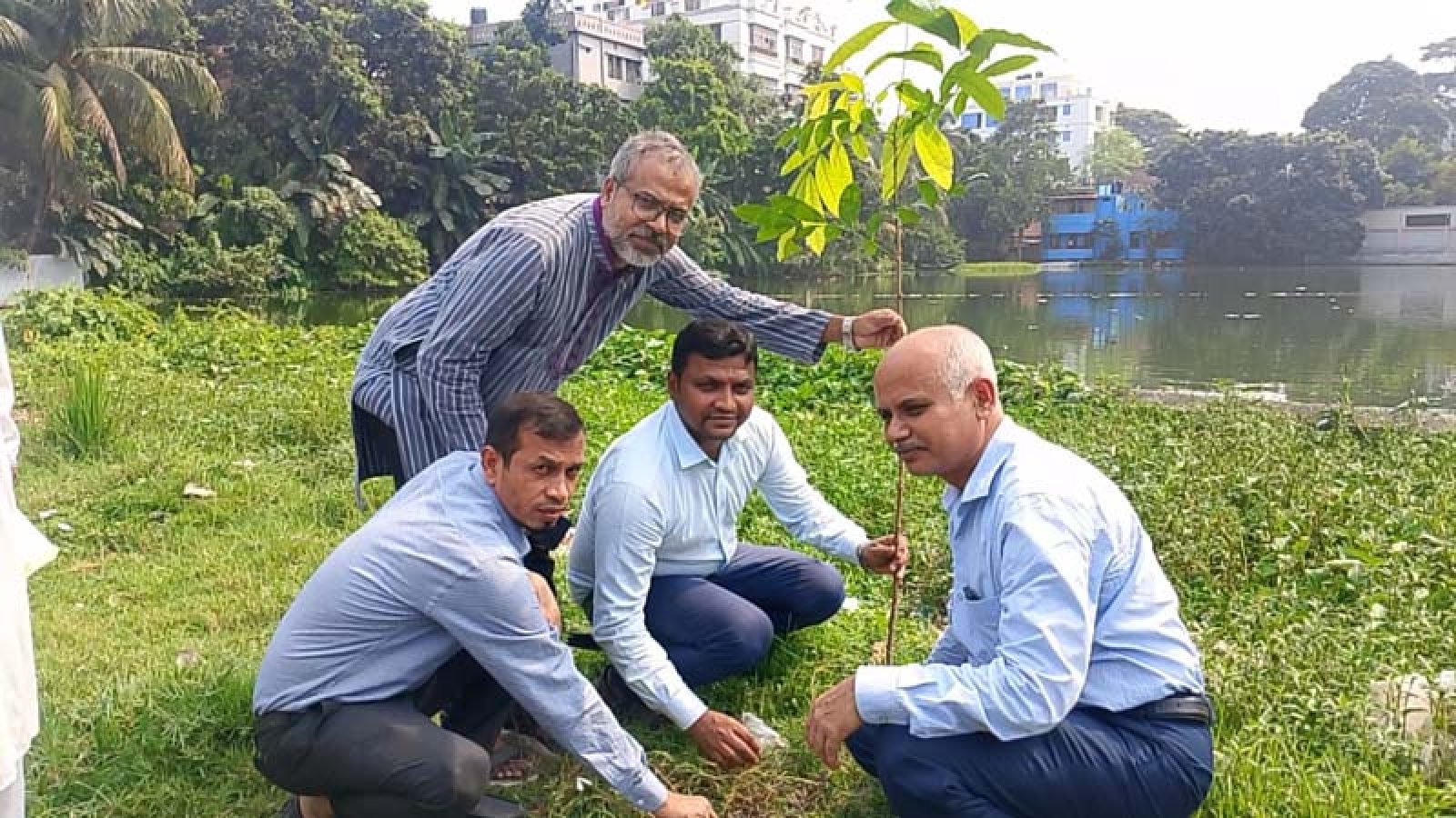 সিরাজগঞ্জে বৃক্ষরোপণ, বিতরণ ৫ শতাধিক গাছ