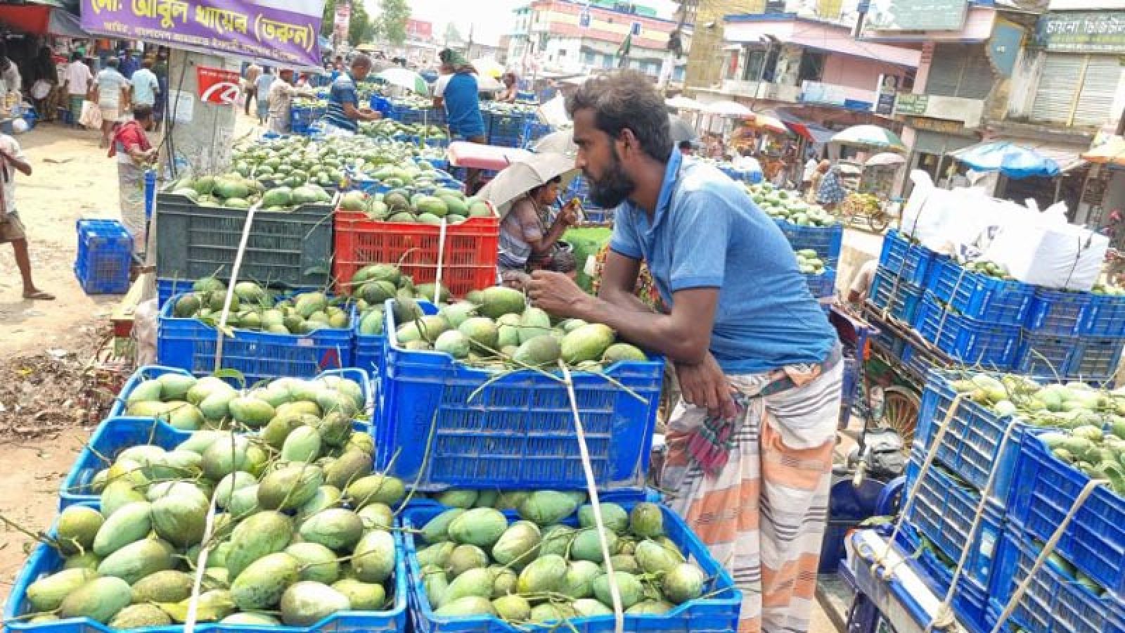 সাপাহারে আমের দাম কম, চাষিদের  মুখে হাসি নেই