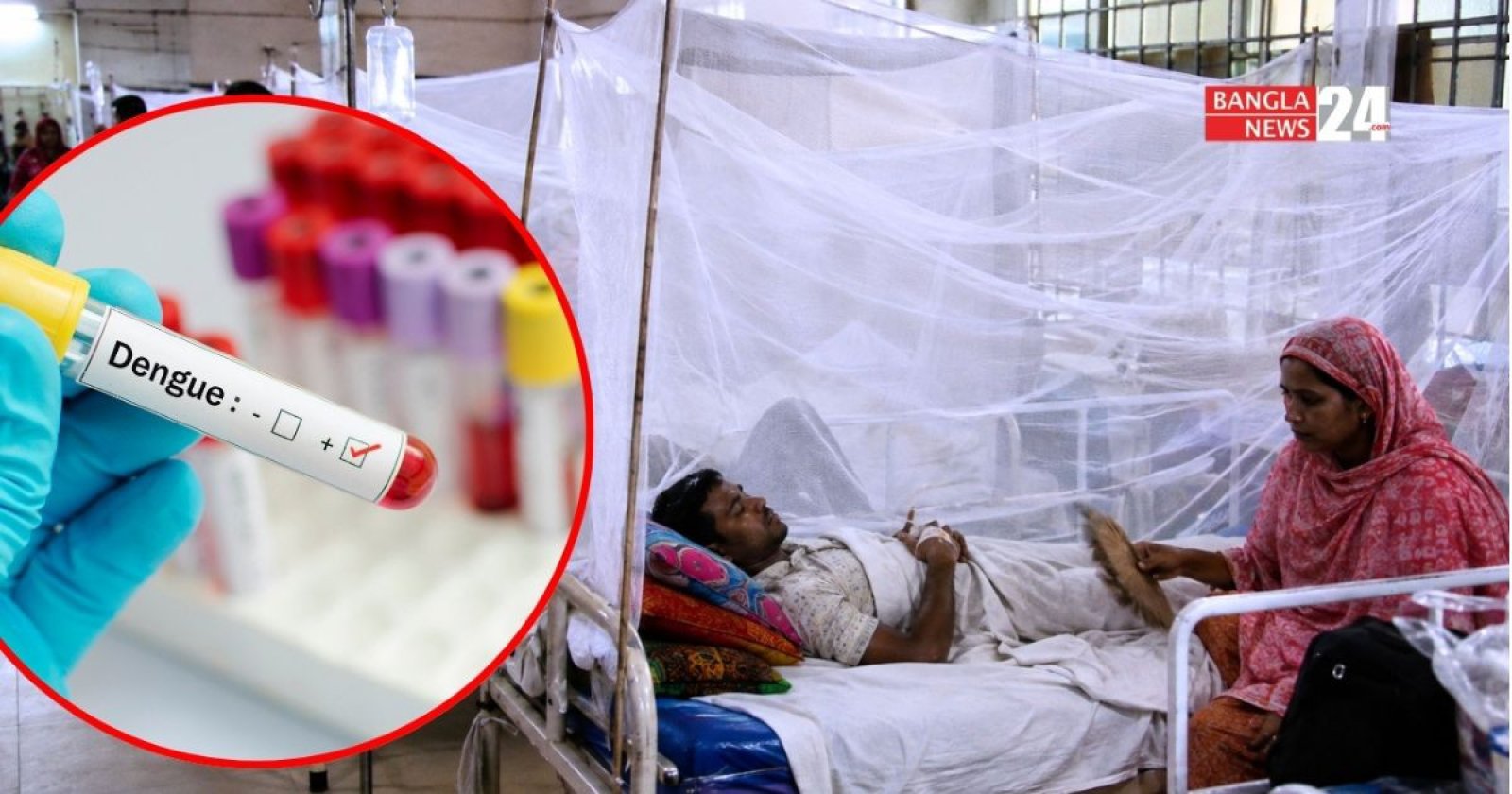ডেঙ্গুতে আরও ৬ জনের মৃত্যু, হাসপাতালে ভর্তি ২০৮৯