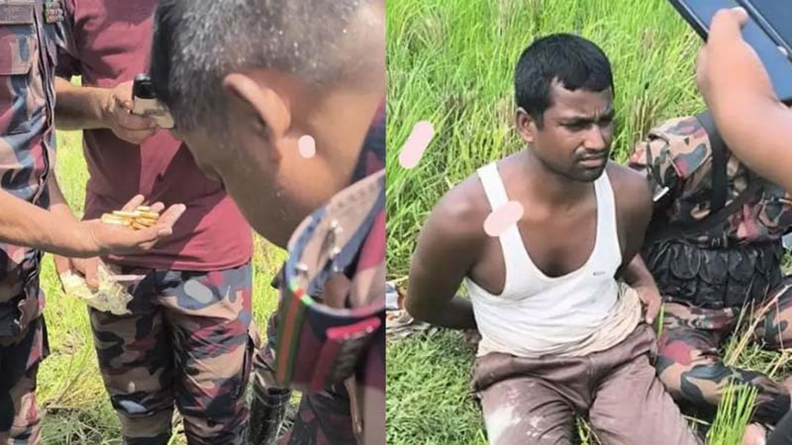 ধানখেতে কাদার নিচে লুকিয়ে রাখা হয়েছিল ১০১ ভরি স্বর্ণ
