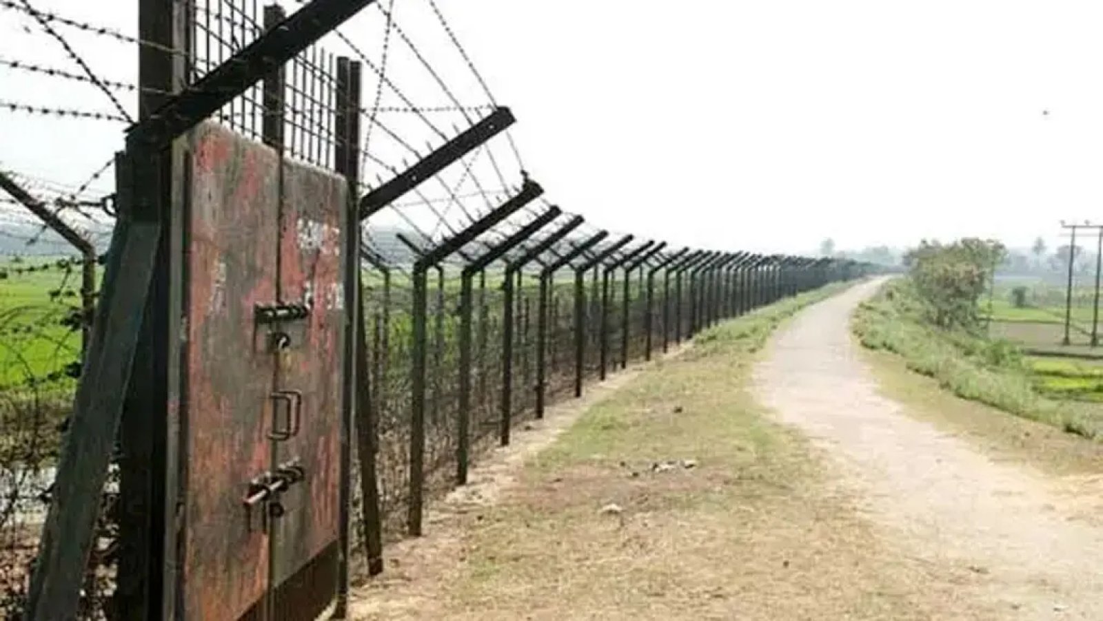 বাংলাদেশ সীমান্তে নদী-খালে সাপ-কুমির নামাবে বিএসএফ