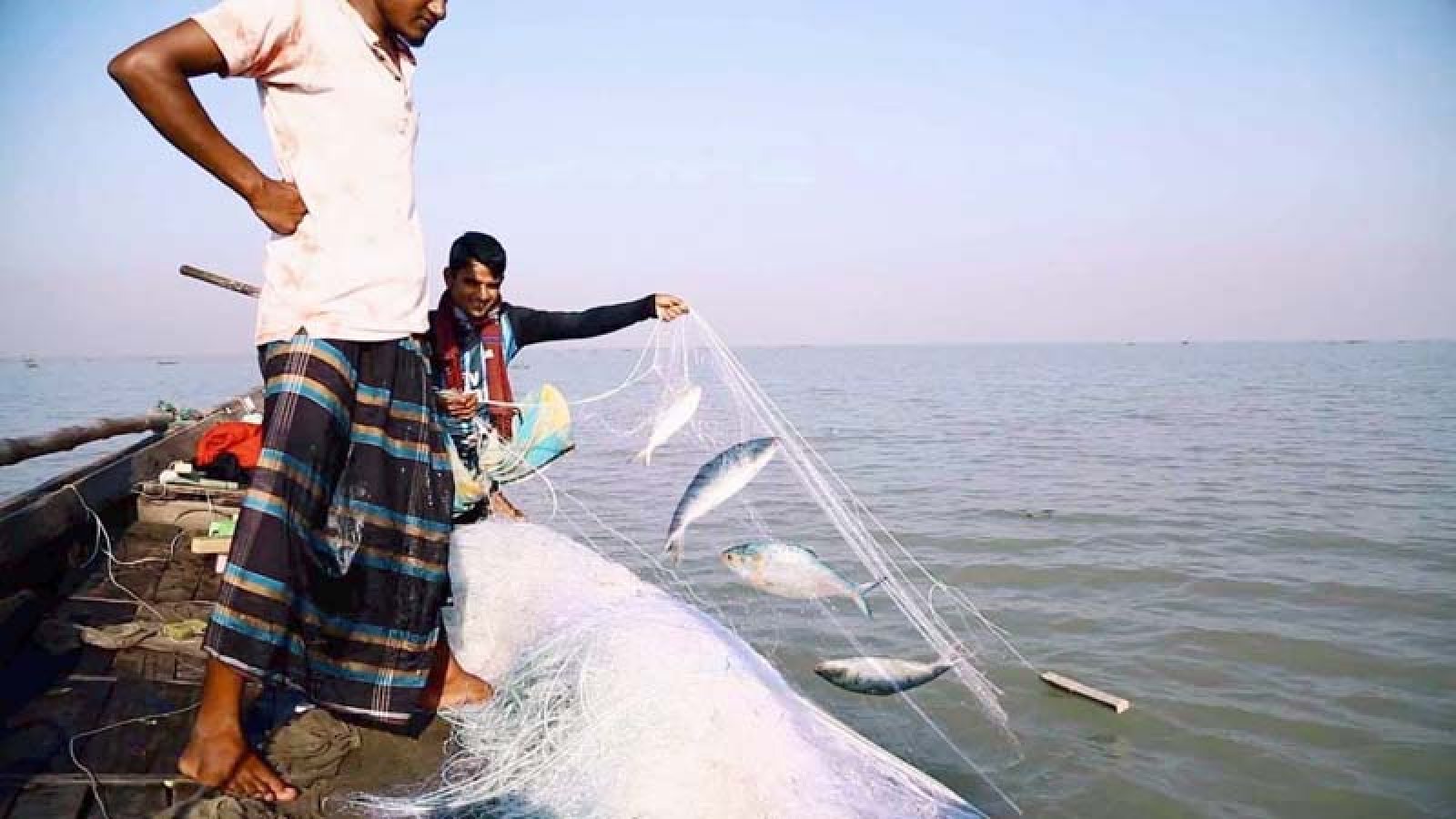 চলতি বছরে কমেছে ইলিশে আহরণ, আসছে নিষেধাজ্ঞা