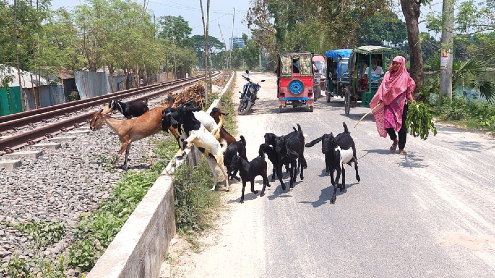 ঈশ্বরদীর বিলপাড়া গ্রামের হতদরিদ্র রাশিদার দারিদ্র জয়