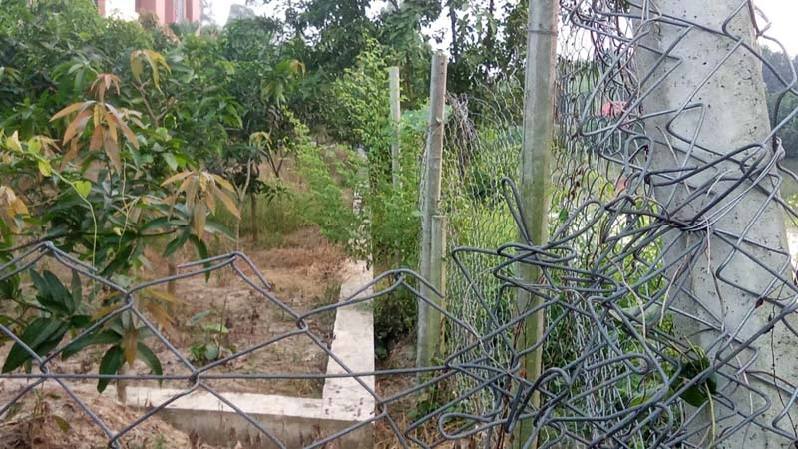 সান্তাহারে মাছের পুকুরে যাতায়াতের পথ বন্ধের অভিযোগ