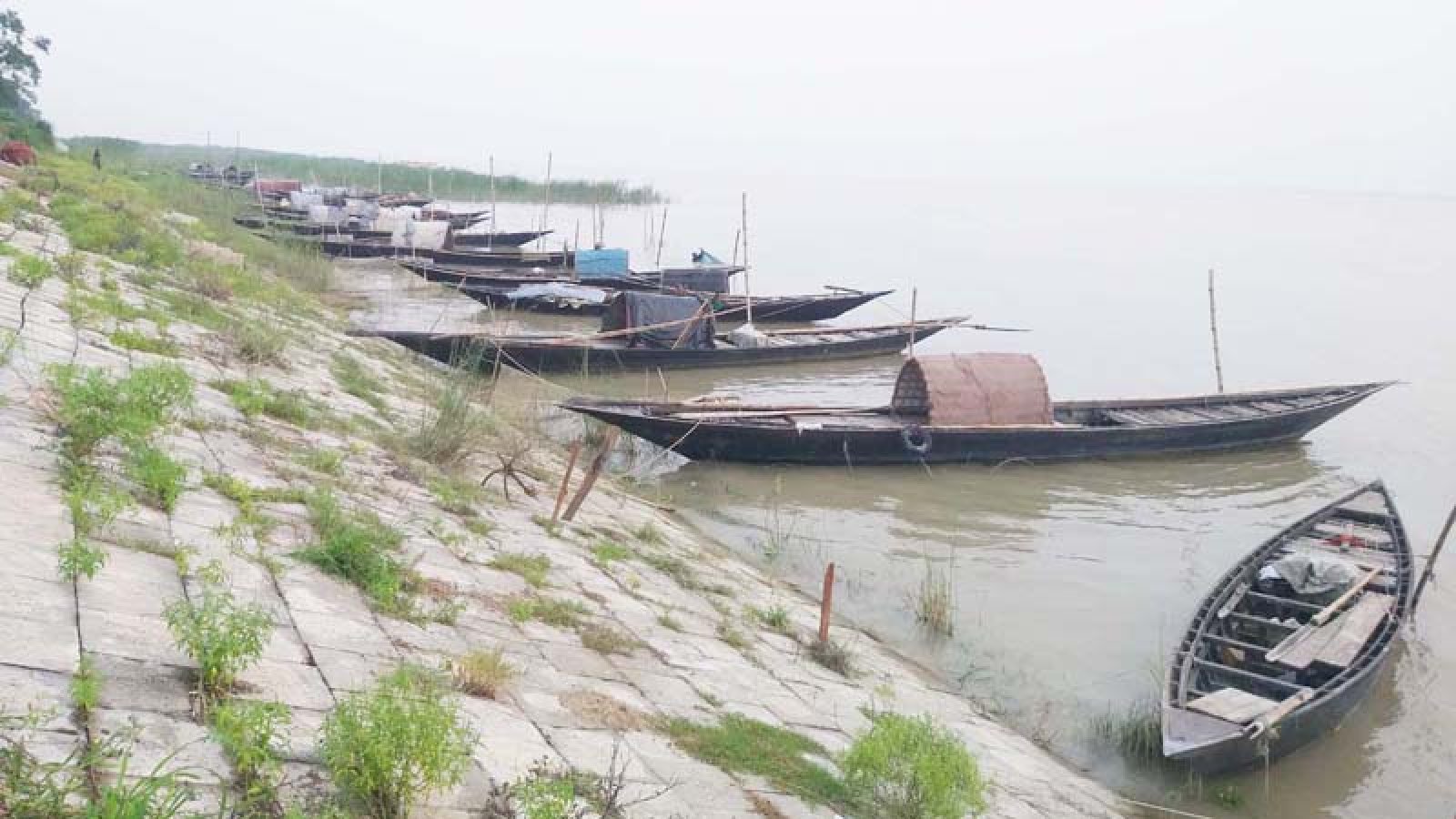ভরা মৌসুমে পদ্মায় মিলছে না মাছ, হতাশ জেলেরা