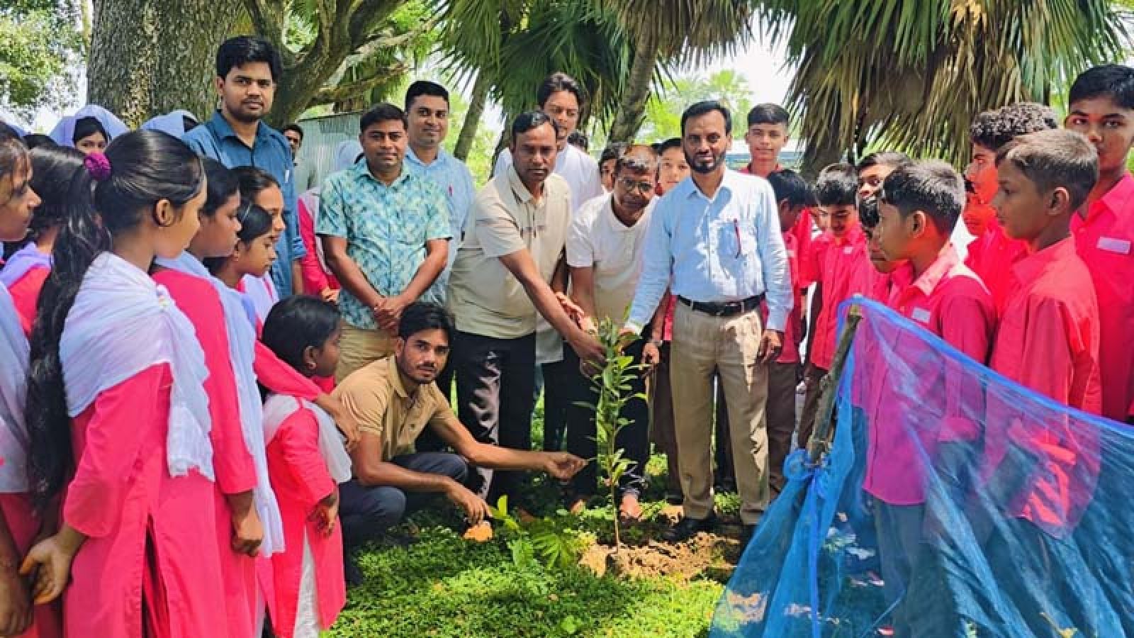 সিংড়ায় ক্ষিদ্রবড়িয়া উচ্চ বিদ্যালয়ে বৃক্ষরোপণ কর্মসূচি পালিত