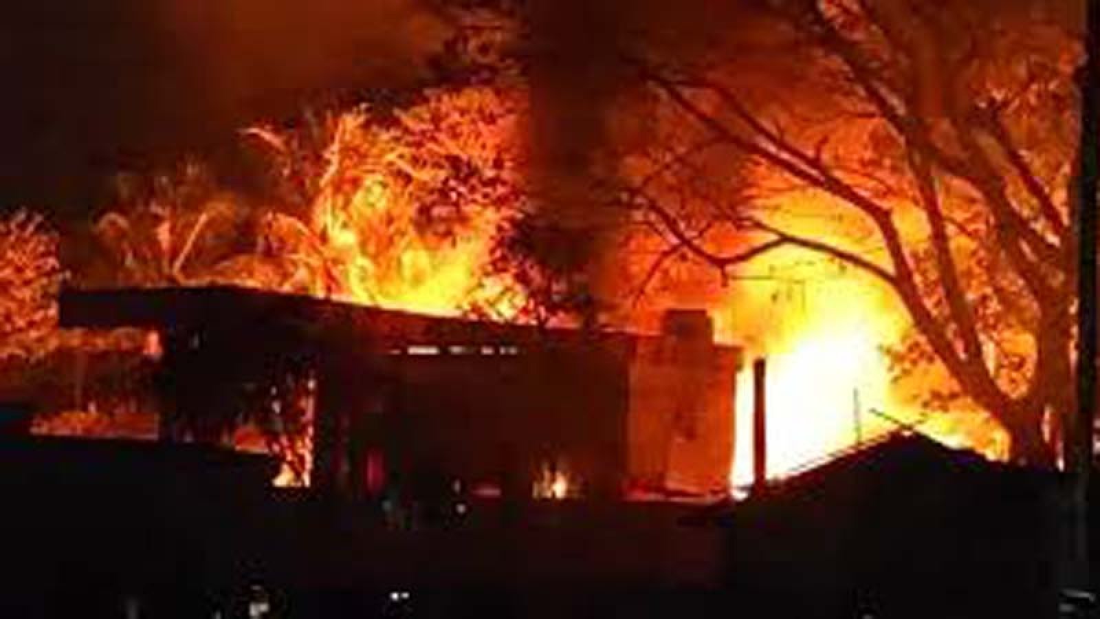 বড়াইগ্রামে অগ্নিকাণ্ডে কৃষকের গরু-ছাগল পুড়ে মৃত্যু