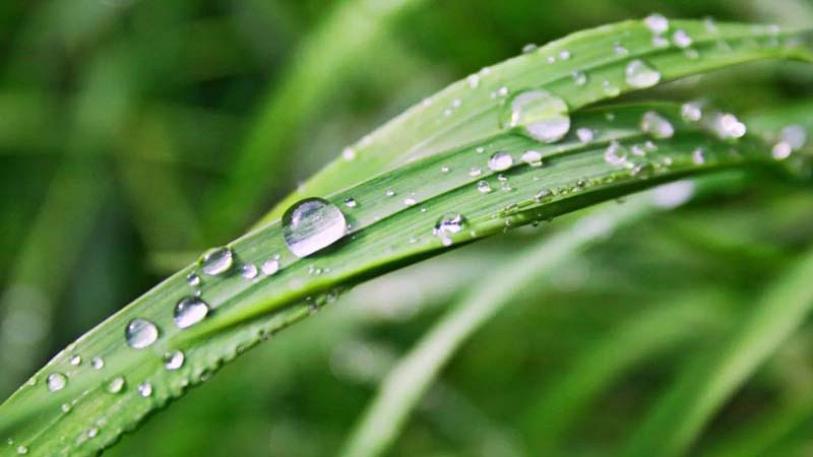 তেঁতুলিয়ায় তাপমাত্রার ওঠানামা অব্যাহত, সর্বনিম্ন ২১.২ ডিগ্রি