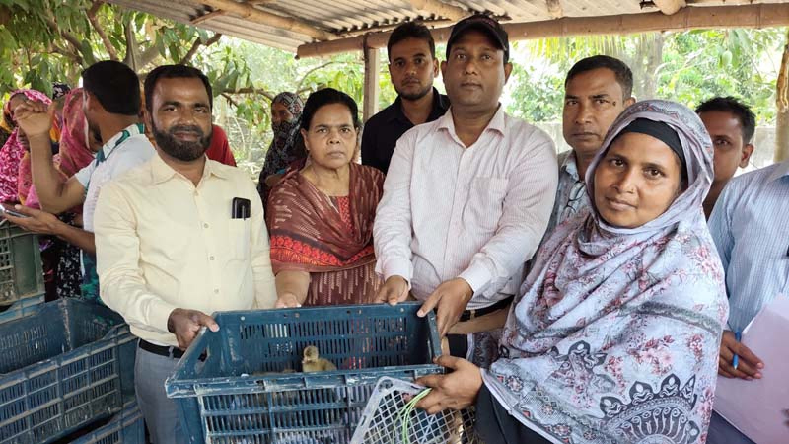 ব্র্যাকের উদ্যোগে হাঁসের বাচ্চা বিতরণ