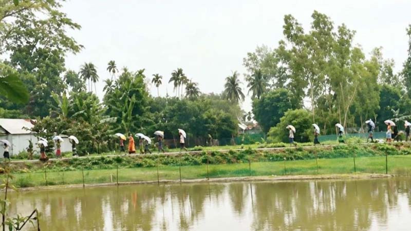 বেশি দাম ও সংকট: ডিলারের গুদাম ভেঙে ১৯৭ বস্তা সার নিয়ে গেলেন কৃষকরা