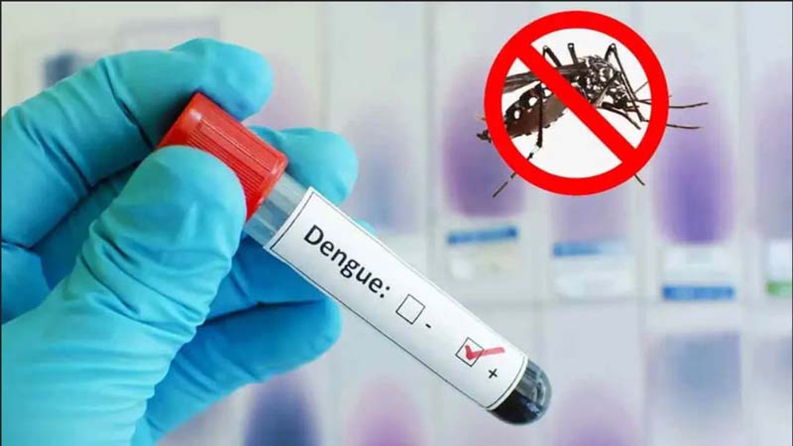 ডেঙ্গুতে একদিনে ৫ জনের মৃত্যু, হাসপাতালে ৮৩৯