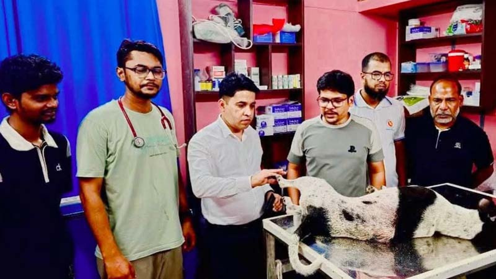 বগুড়ায় ছুরিকাহত রক্তাক্ত কুকুর ড্রেন থেকে উদ্ধার, থানায় মামলা