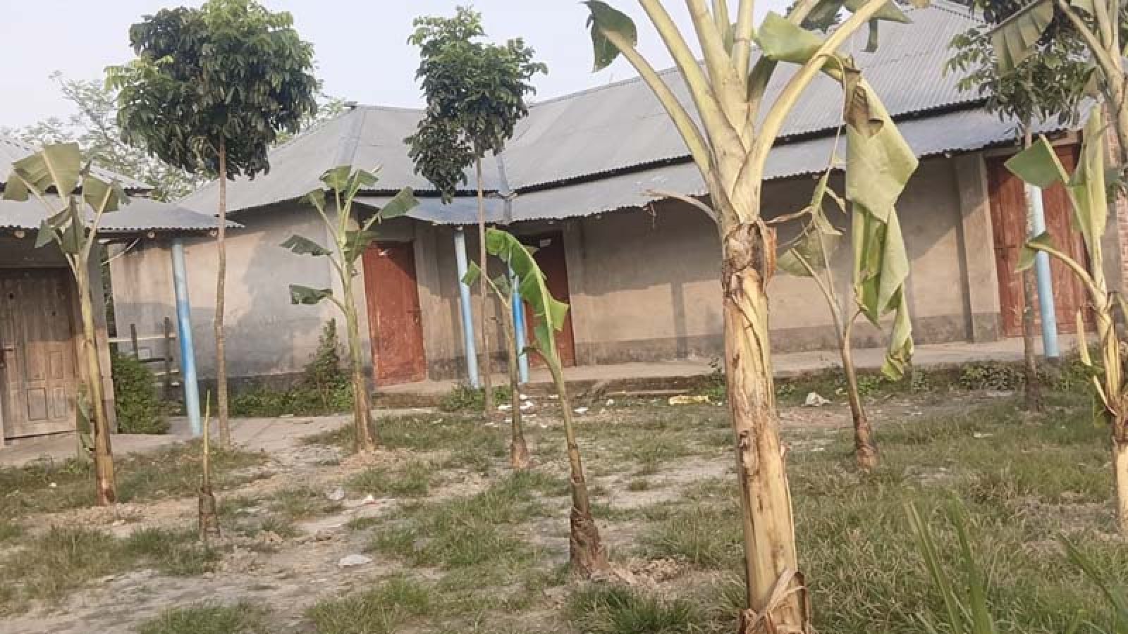 পুঠিয়ায় প্রতিষ্ঠানের নাম নিয়ে বিরোধ, স্কুলে তালা দিয়ে মাঠে কলাগাছ লাগানোর অভিযোগ