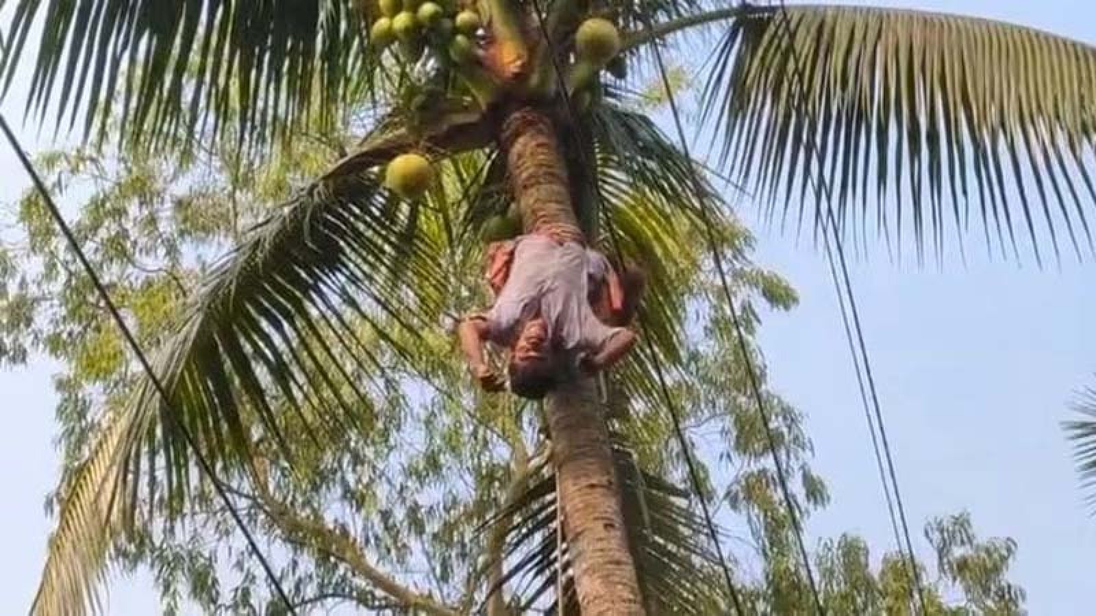 রায়গঞ্জে নারিকেল গাছ পরিষ্কার করতে গিয়ে বিদ্যুৎস্পৃষ্ট হয়ে যুবকের মৃত্যু