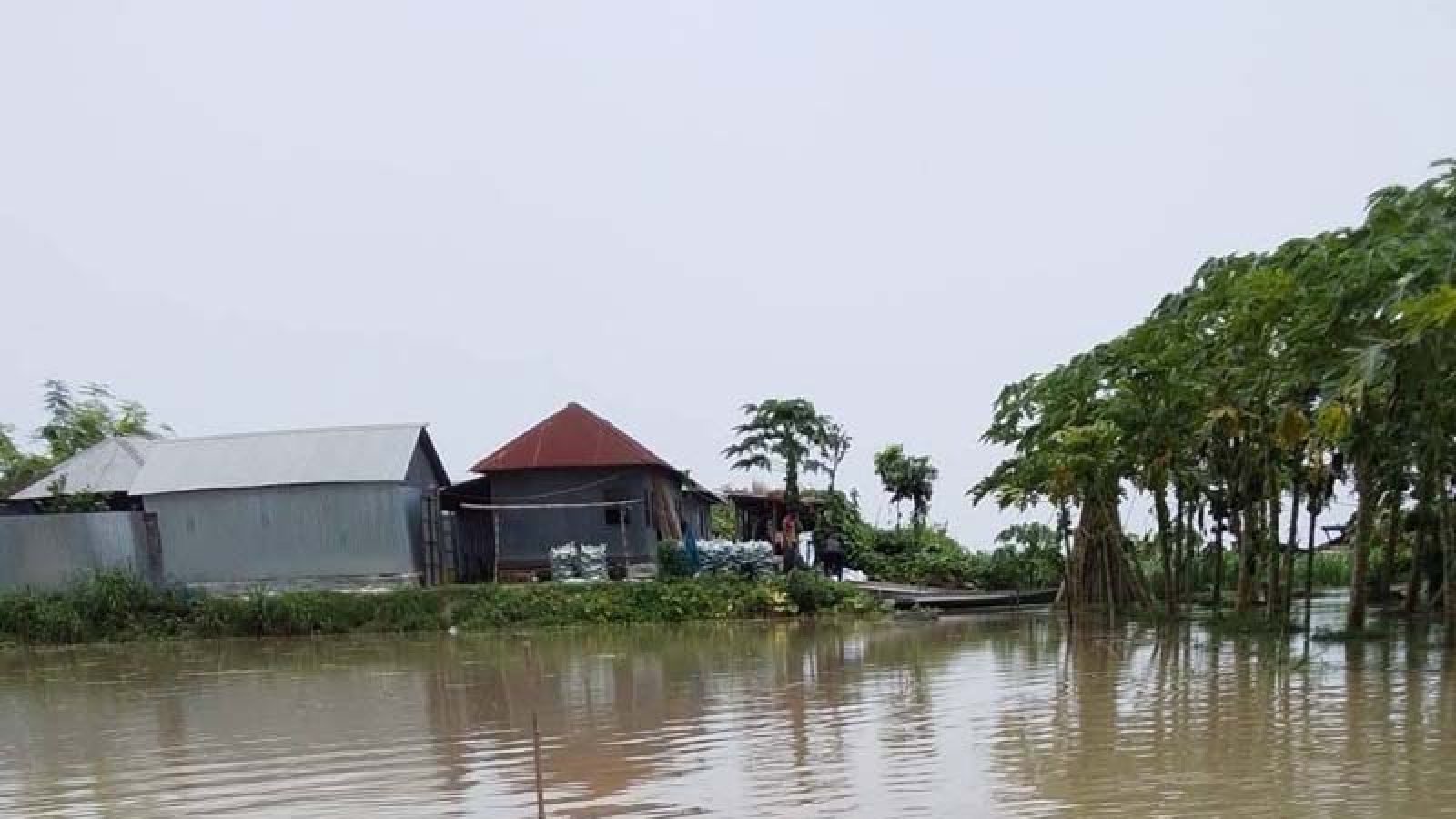 বাঘায় পদ্মার ভাঙনে তিন প্রাথমিক বিদ্যালয় স্থানান্তর