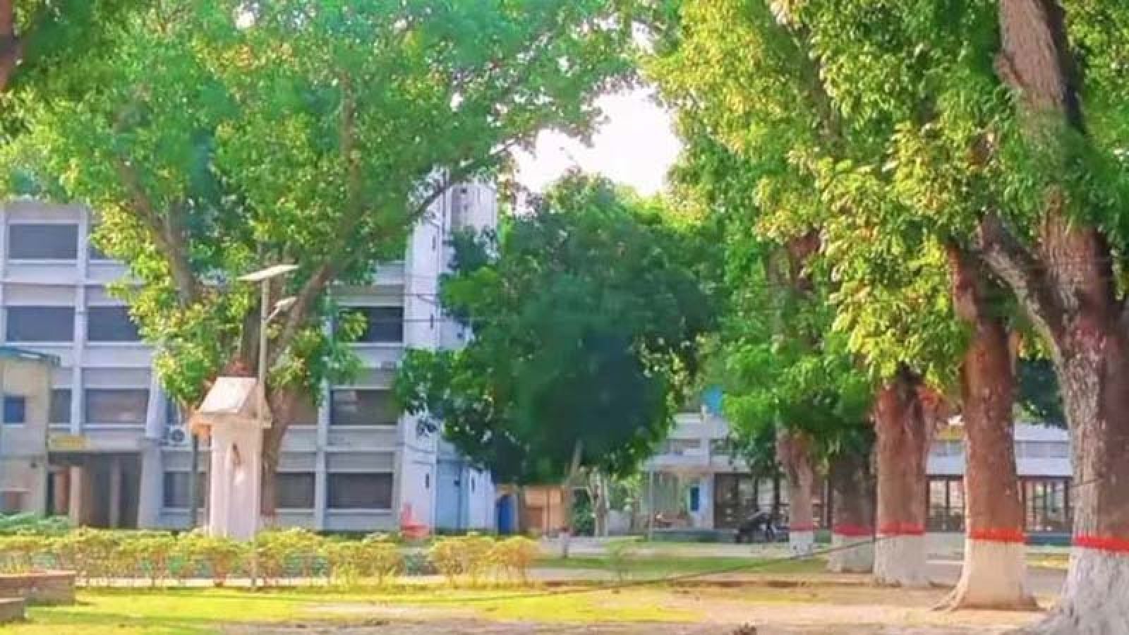 ব্যক্তি মালিকানার গাছ কাটতেও লাগবে অনুমোদন, অমান্য করলে মামলা