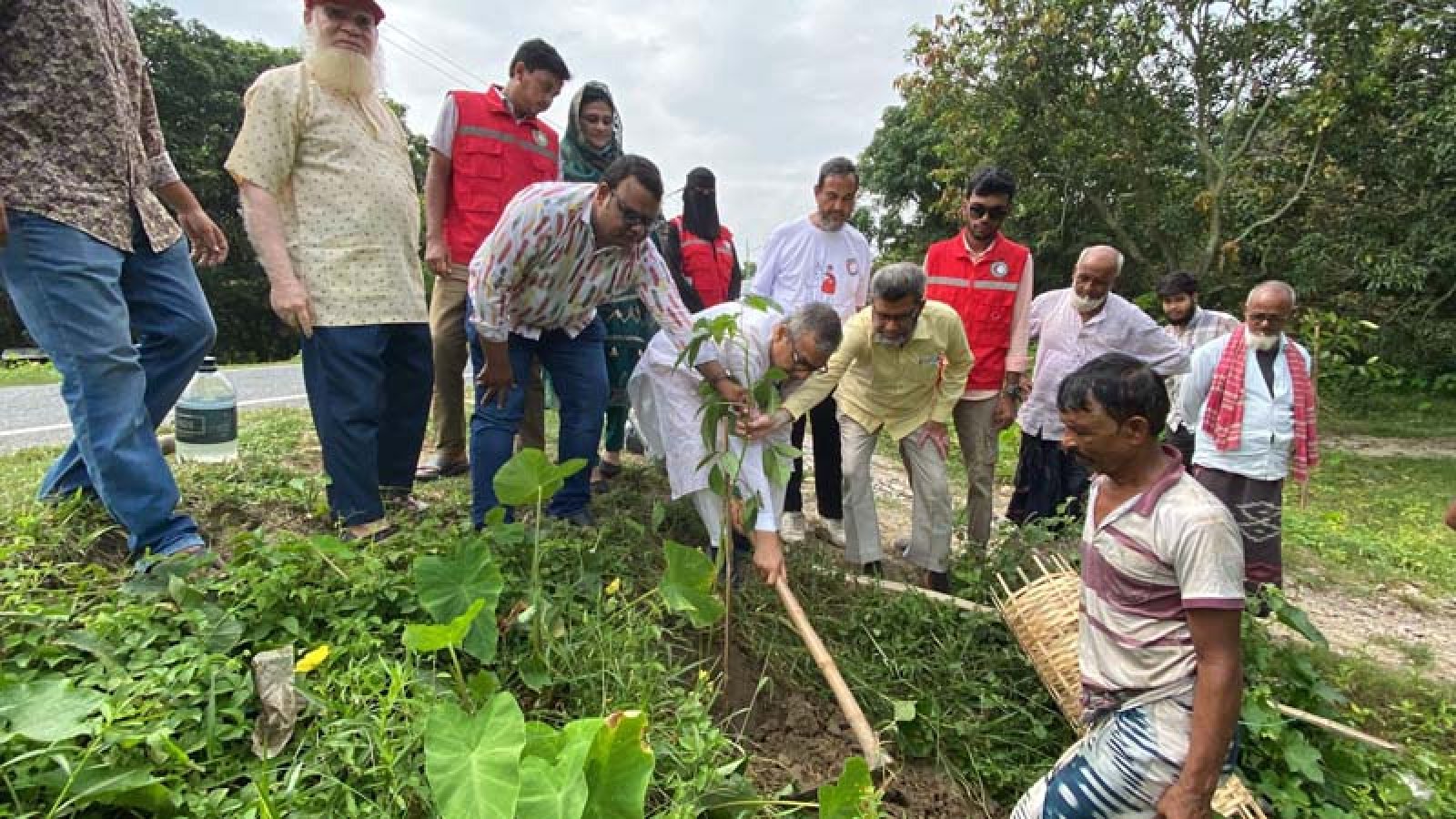 চাঁপাইনবাবগঞ্জ পৌরসভার নবনির্মিত সড়কে রেড ক্রিসেন্ট ইউনিটের বৃক্ষরোপণ