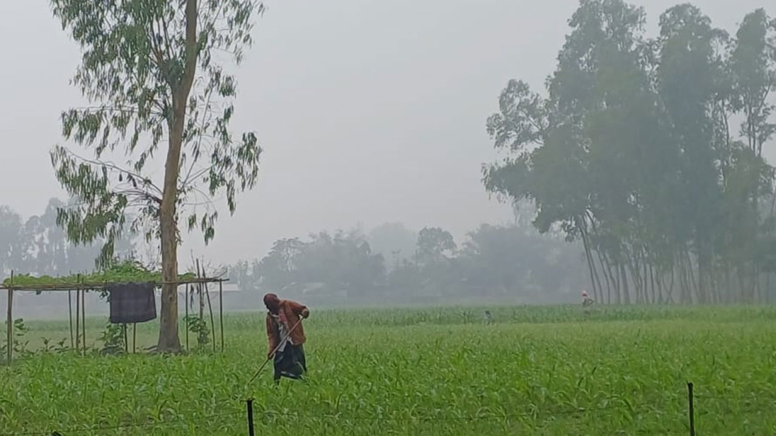 মাঘের আগেই ‘বাঘ কাঁপানো’ শীত, ১২ জানুয়ারি পর্যন্ত সতর্কতা