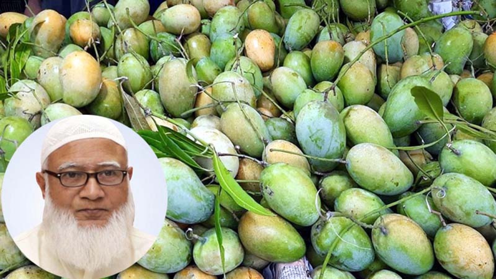 সংসদে সবাইকে আম উপহার দিলেন জামায়াত আমির