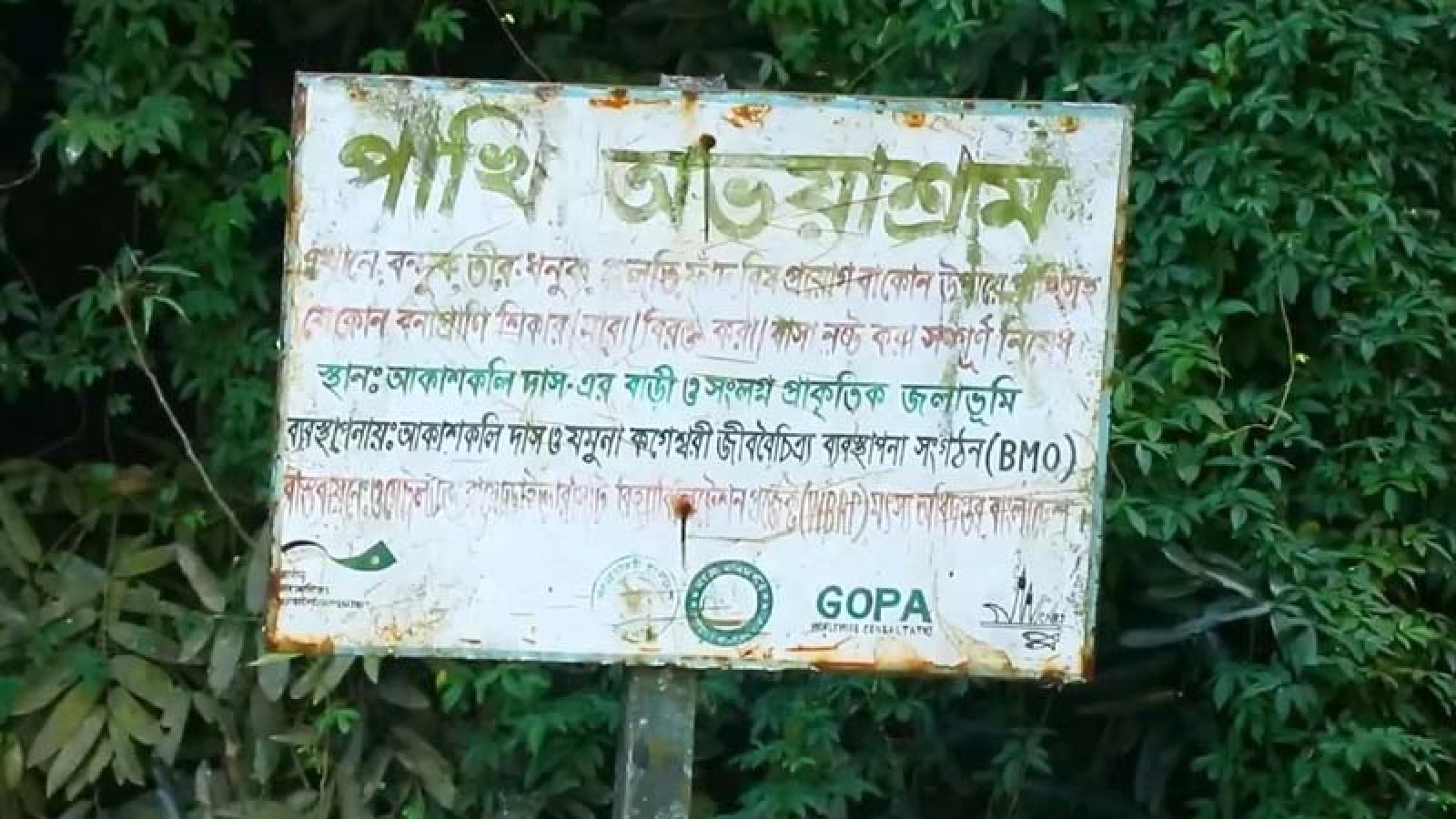 পাবনায় আকাশকলি দাসের পাখির অভয়াশ্রম সংরক্ষণের নির্দেশ হাইকোর্টের