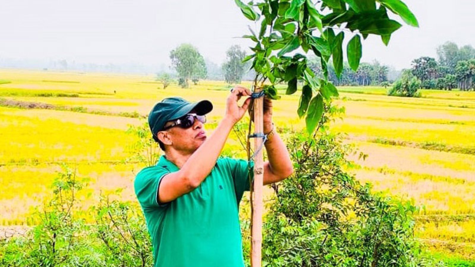 মহাদেবপুরে অধ্যক্ষ আরিফ এখন ‘সবুজের ফেরিওয়ালা’