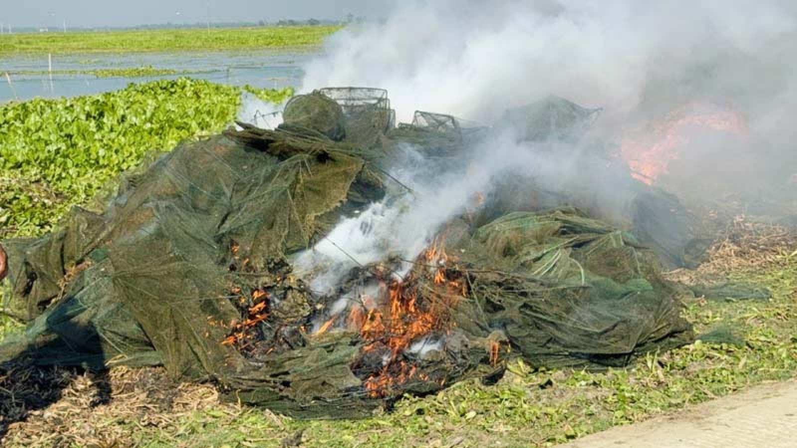চলনবিলে ৪ লাখ টাকার চায়না দুয়ারি জাল পুড়িয়ে ধ্বংস