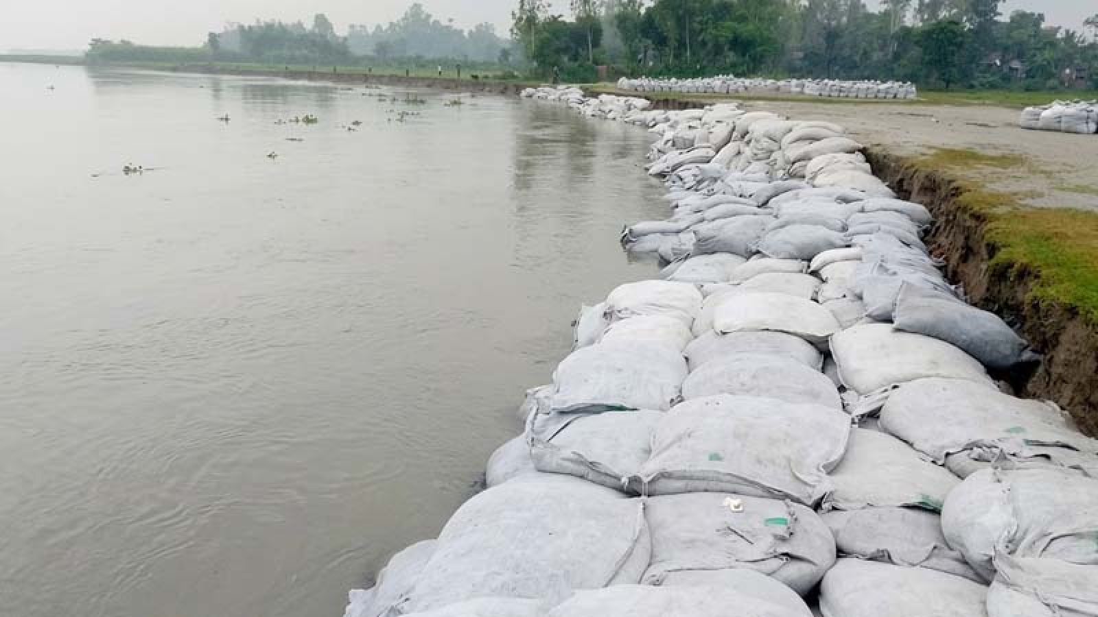 বগুড়ায় বিপদসীমার কাছাকাছি যমুনার পানি