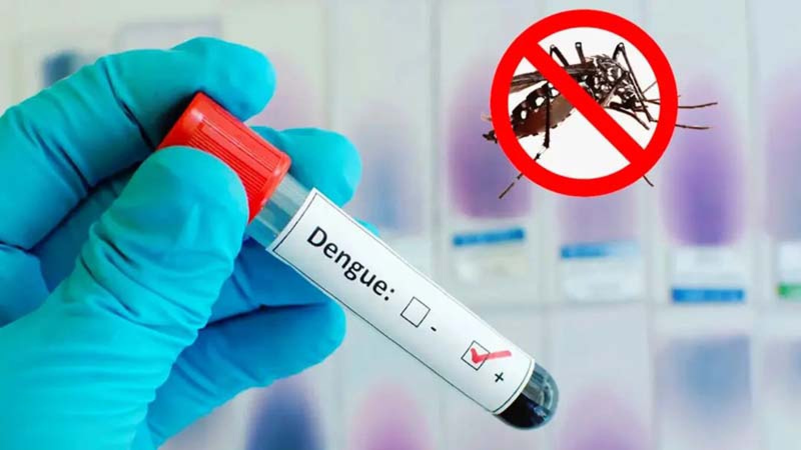 ডেঙ্গুতে আরও ৭ জনের মৃত্যু, হাসপাতালে ১৮৭২
