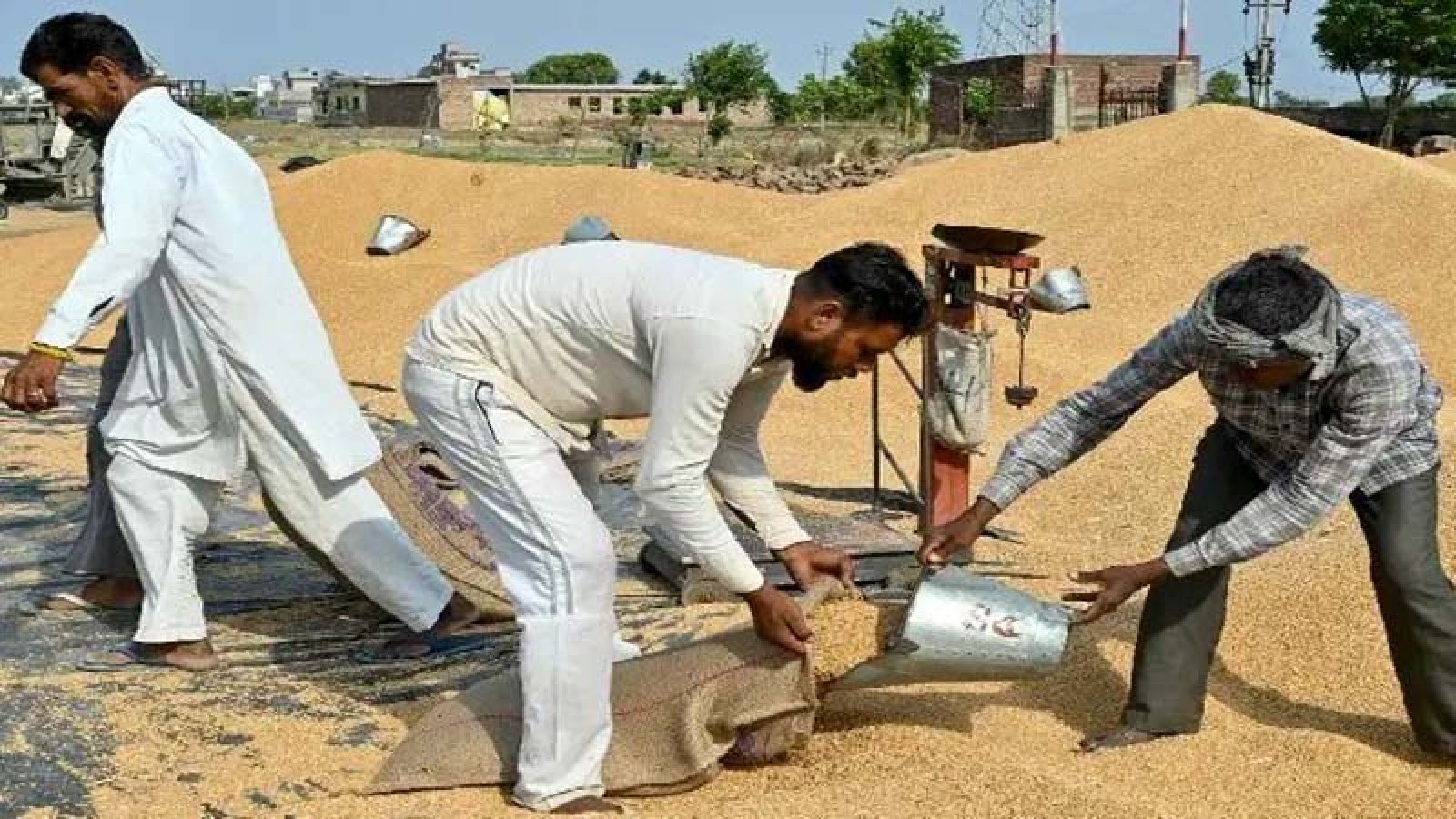 ভারতে অস্বাভাবিক গরমের আশঙ্কা, ঝুঁকিতে শস্য উৎপাদন
