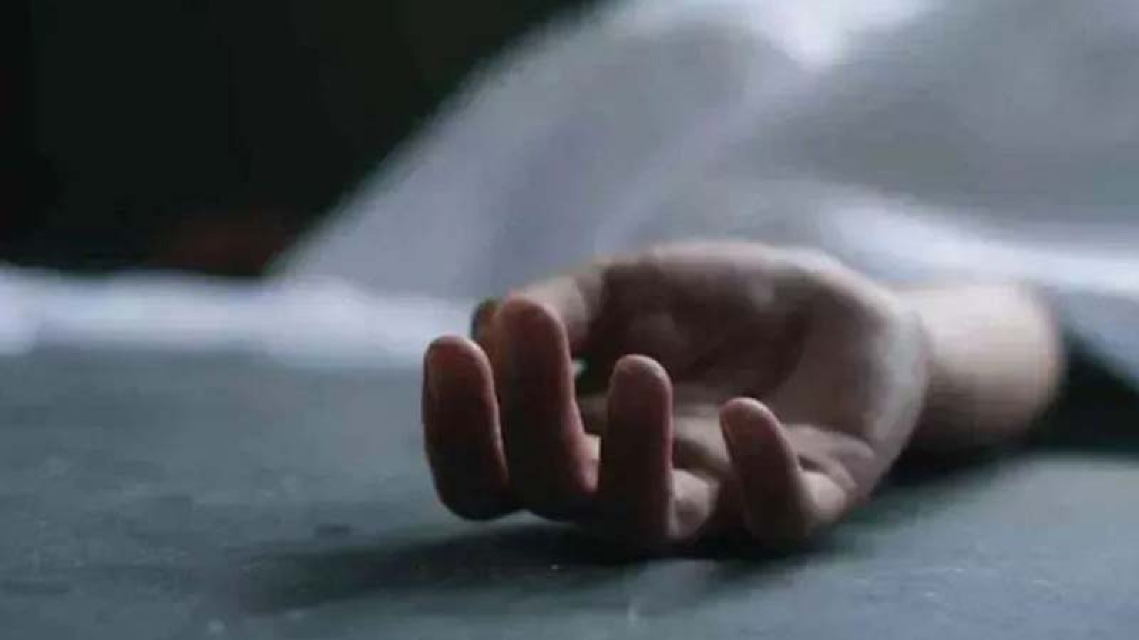 স্বামীকে খুন, পেট কেটে নাড়িভুঁড়ি বের করে ব্যাগে পুরল স্ত্রী!
