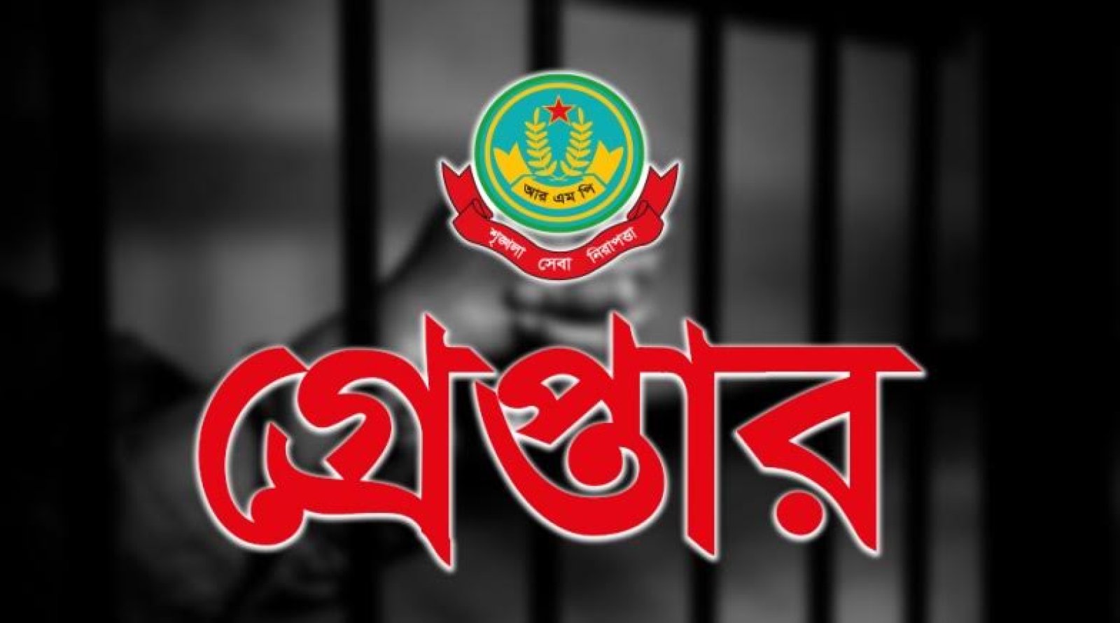 নগরীতে বিভিন্ন অপরাধের অভিযোগে গ্রেপ্তার ১২ জন