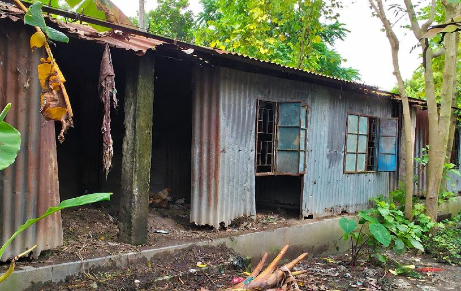 চারঘাটে জরাজীর্ণ ঘর ও মাদকের দাপটে বিপর্যস্ত আশ্রয়ণ প্রকল্প