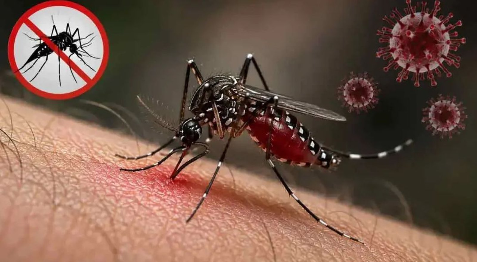 ডেঙ্গুতে সেপ্টেম্বরেই মৃত্যু ১৫২ জন