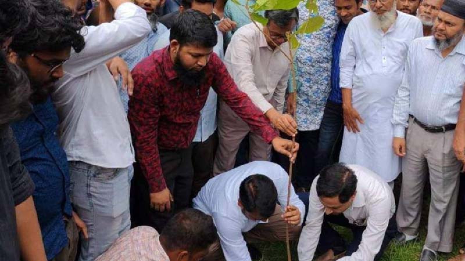 প্রধানমন্ত্রীর ২৫ কোটি বৃক্ষরোপণ কর্মসূচির অংশ হিসেবে রুয়েটে বৃক্ষরোপণ