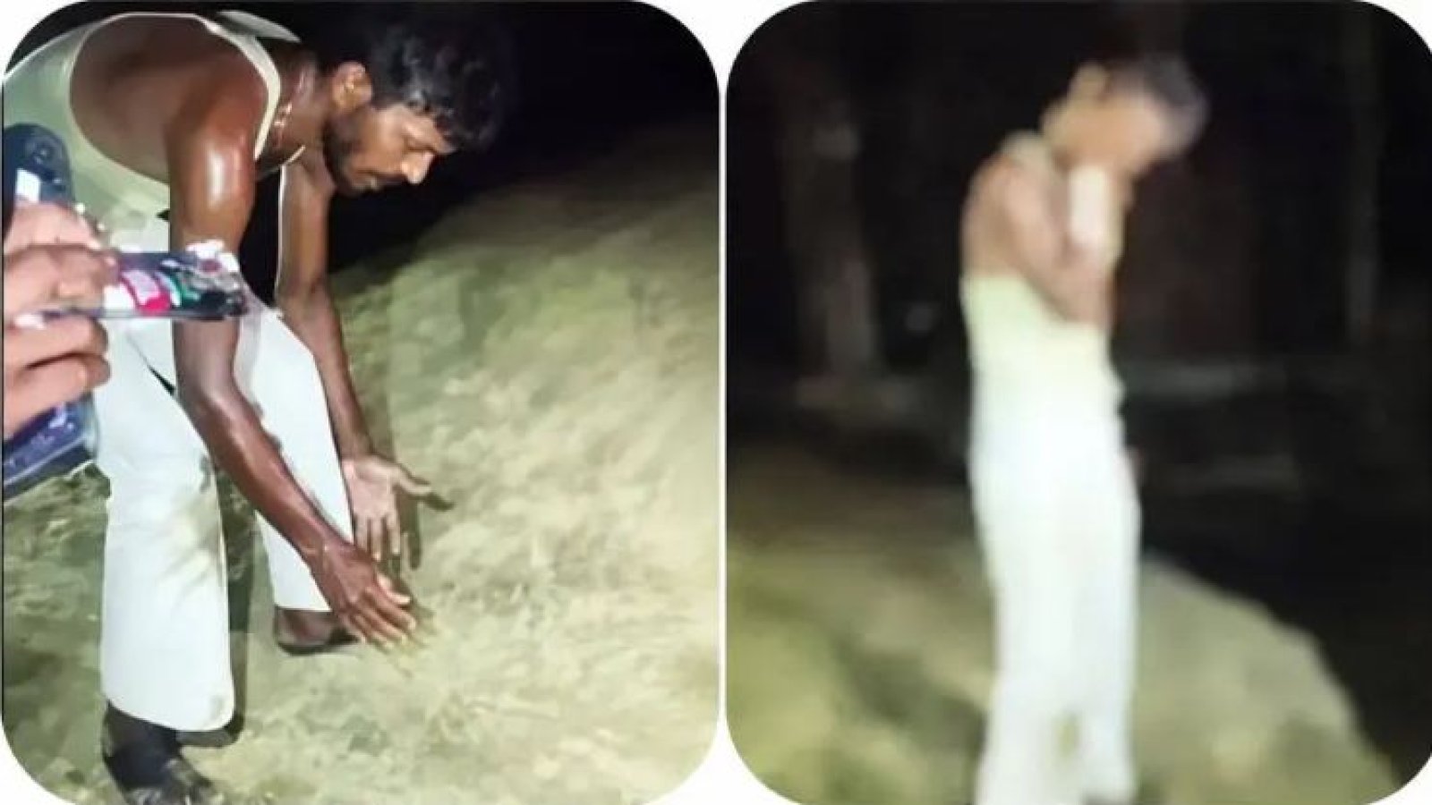 রাগের চোটে কোবরাকেই কামড়!